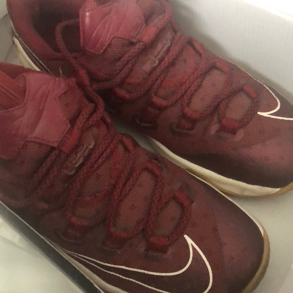 Lebron James XIII
